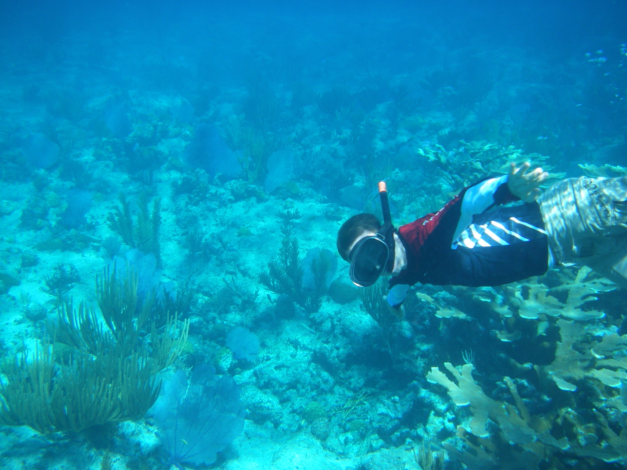  Exuma Bahamas Caribbean Vacations Snorkeling Diving Fishing