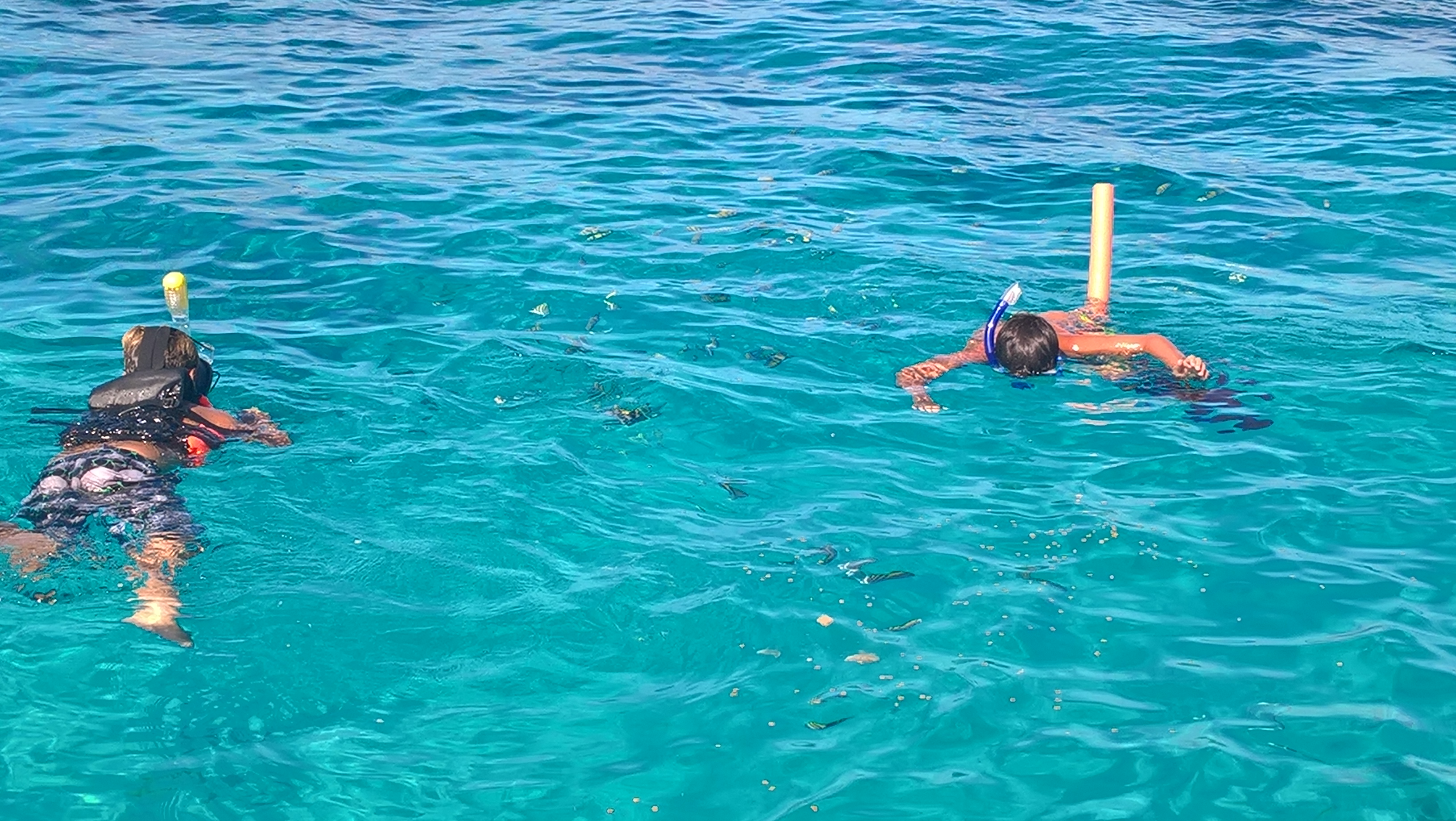  Exuma Bahamas Caribbean Vacations Snorkeling Diving Fishing